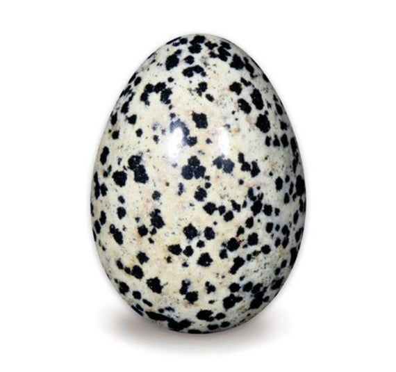 DALMATION JASPER YONI EGG